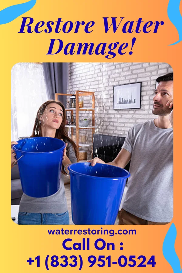 water restoration Ideal Sewage Cleanup Co Riverside