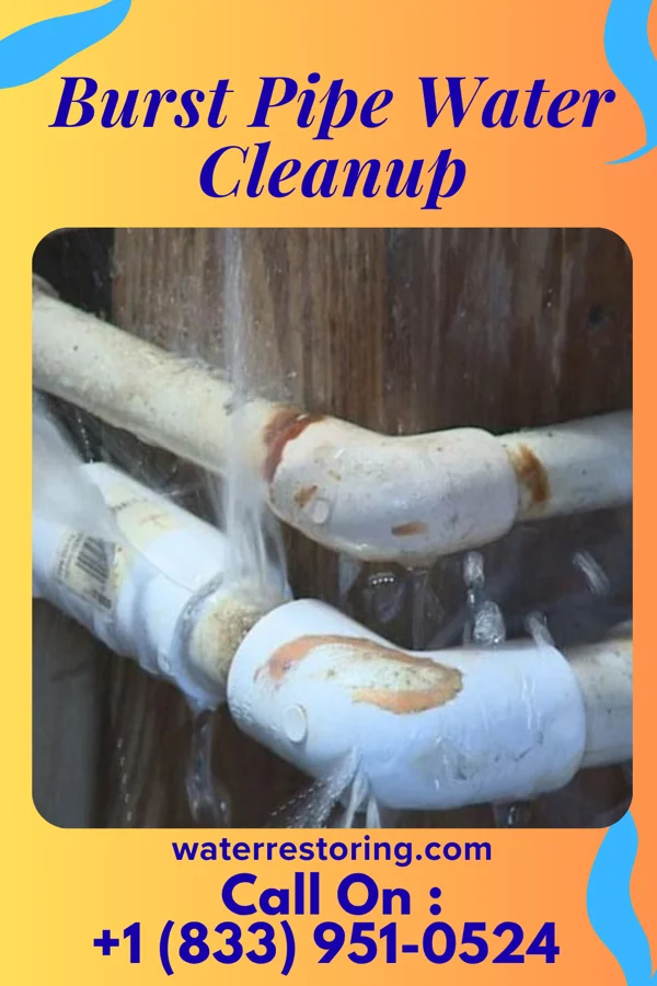 Burst Pipe Water Cleanup in Riverside, TX