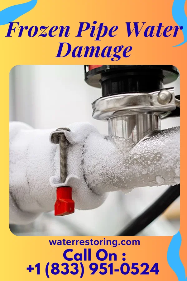 Frozen Pipe Water Damage in Riverside, TX